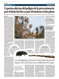Información plagas 2015